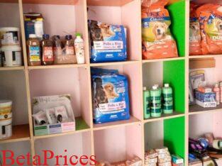 Dog food and accessories