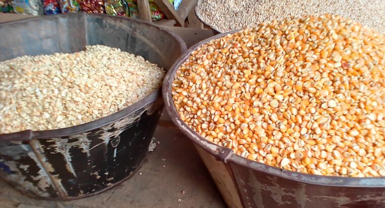 Cost of Maize per ton in Nigeria 2022