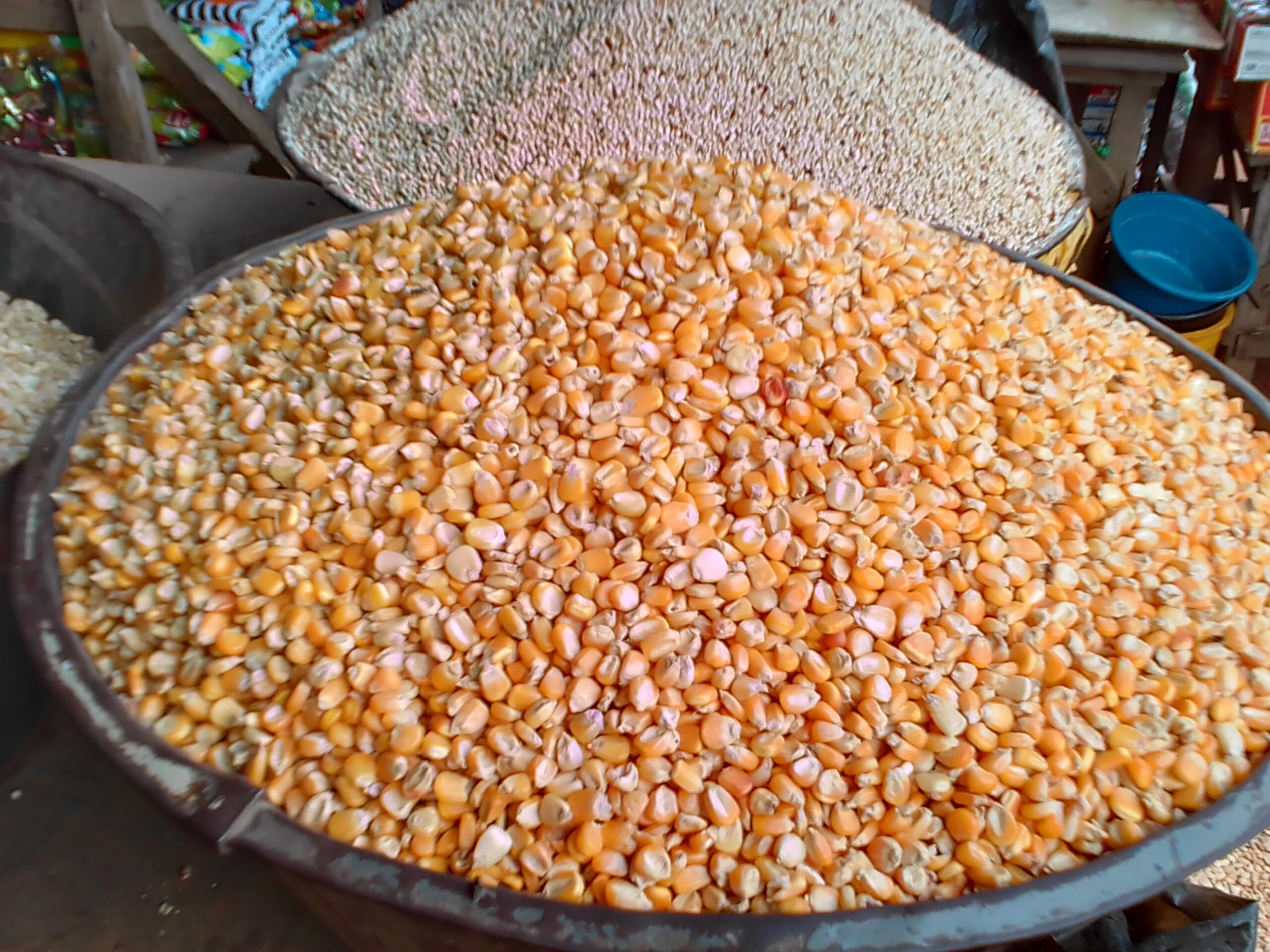 Prices of yellow maize per ton in Nigeria