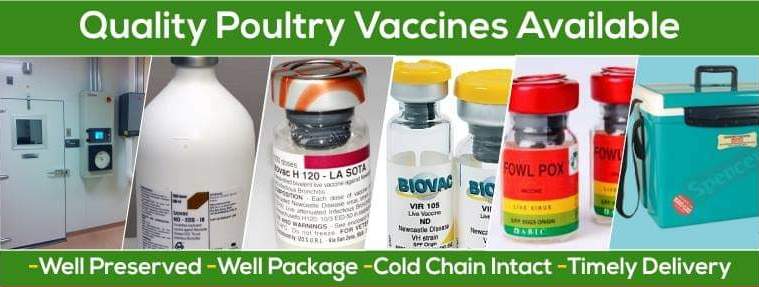 Poultry birds vaccine cost in Nigeria