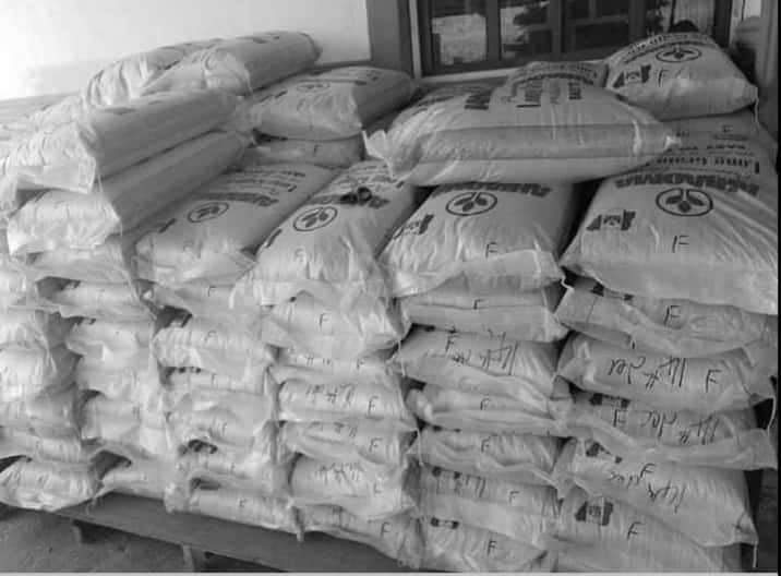 Price List: Cost of Fish Feed Per bag, kg in Nigeria 2022