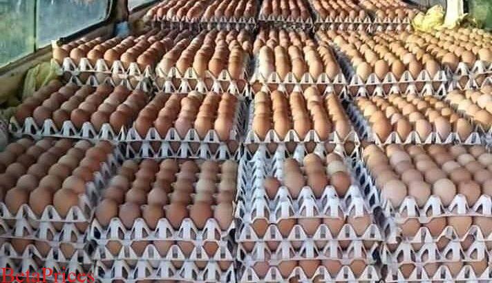 Fresh Eggs for sale