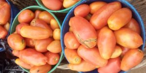 tomato Price in nigeria