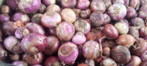 price of a bag of onions in kano, sokoto