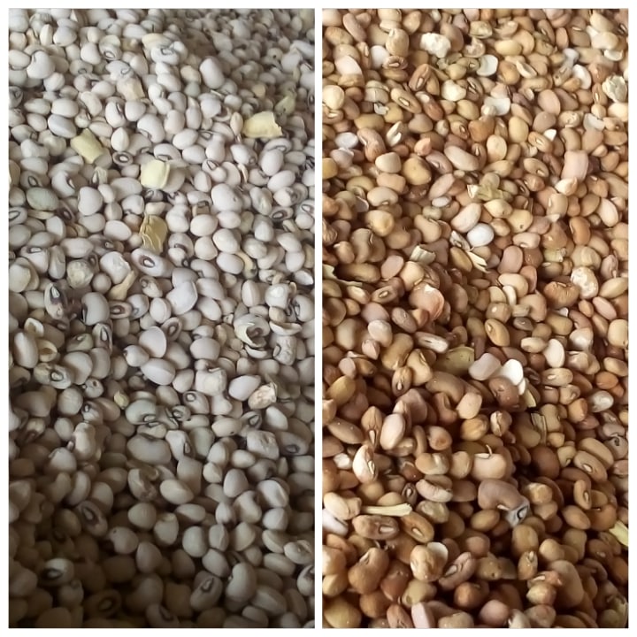 price of cup, bag, mudu of beans in Nigeria