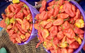 price of basket, bag of pepper in nigeria
