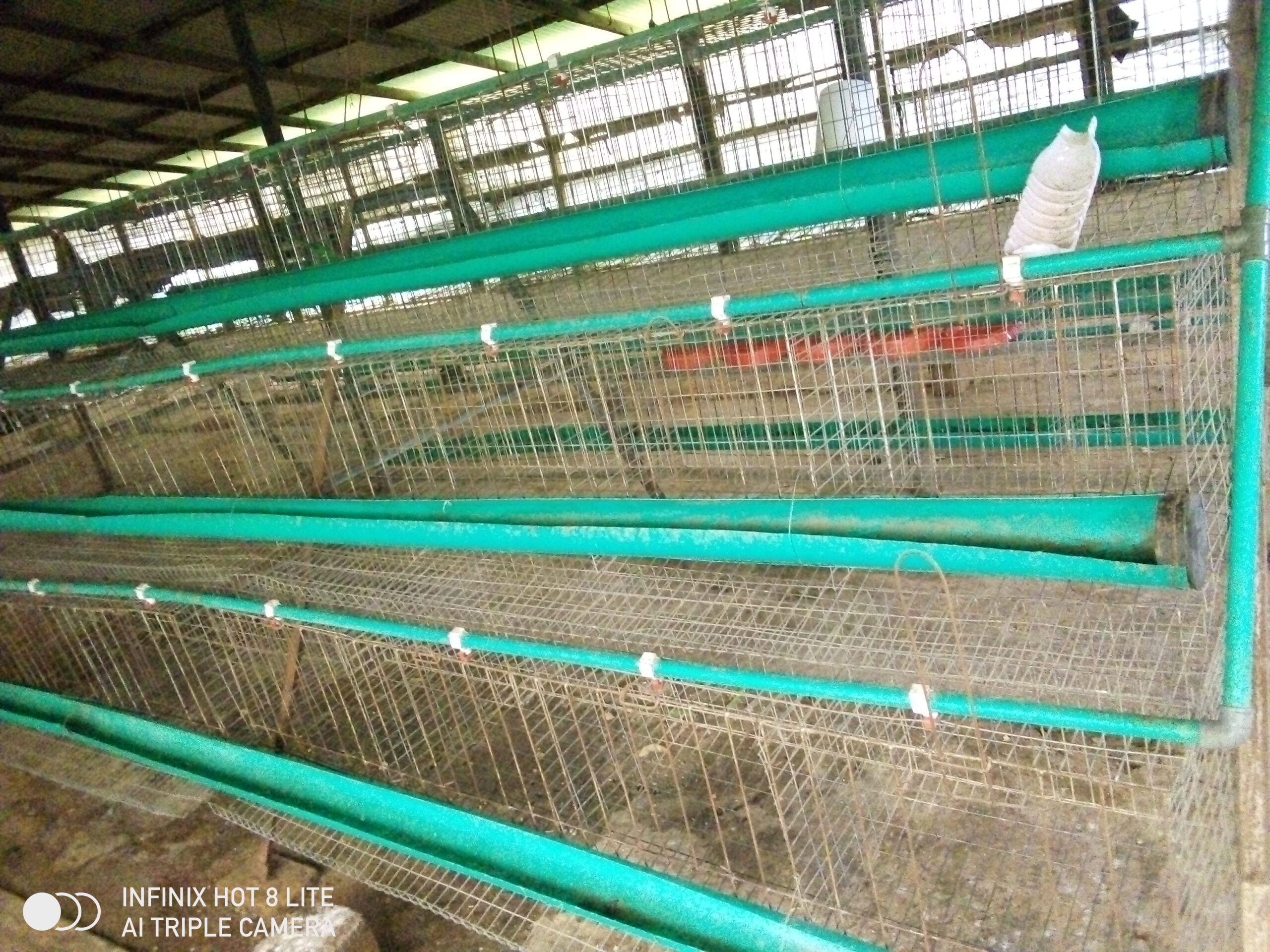 poultry-cage-for-sale-in-lagos